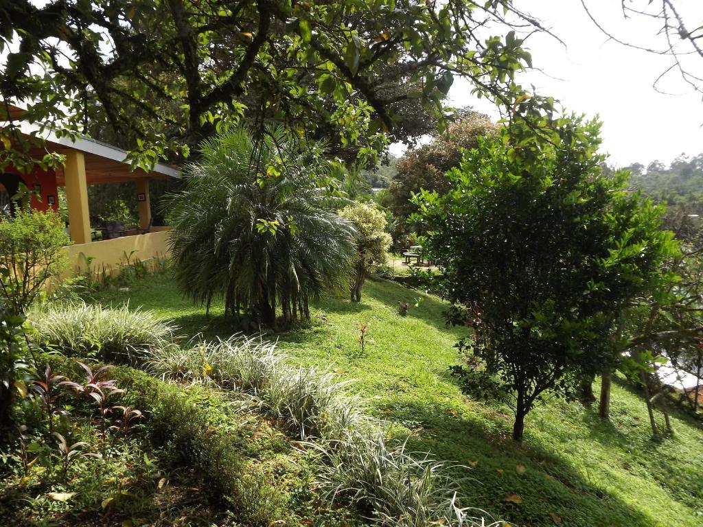 Aparthotel Villa Pacande & Rooms Pilas Стая снимка